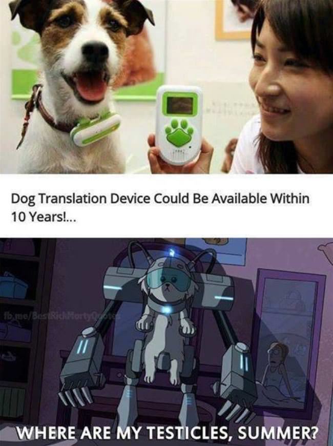 Dog Translation Device