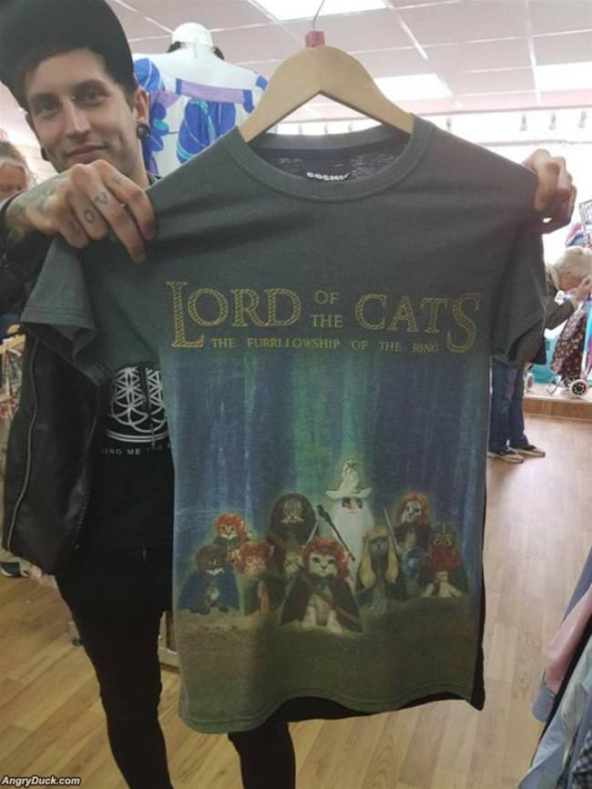 Lord Of The Cats