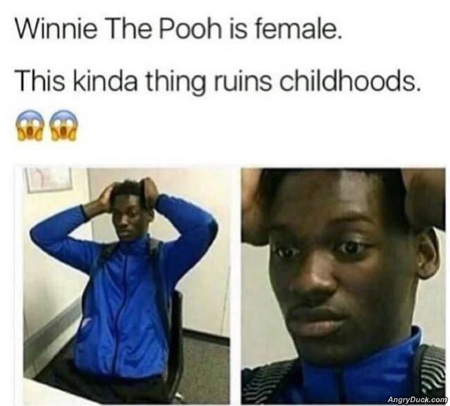 Winnie The Pooh Is A Female