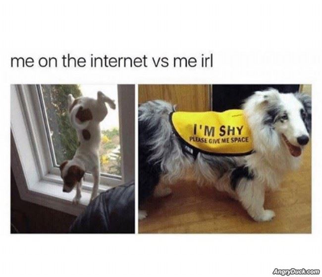 On The Internet Vs Real Life