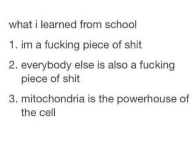 What I Learned In School