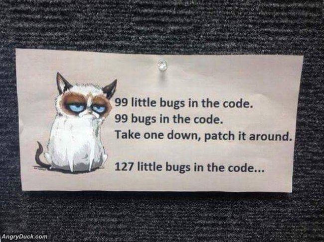 99 Bugs In The Code