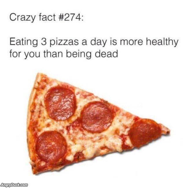 A Crazy Fact