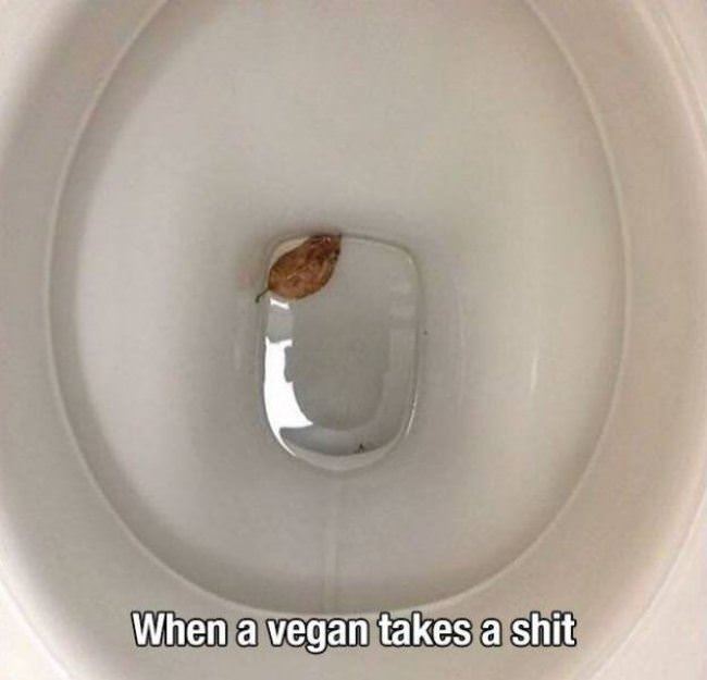 Vegan Taking A Dump