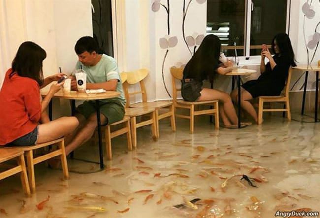 Eating With The Fishes