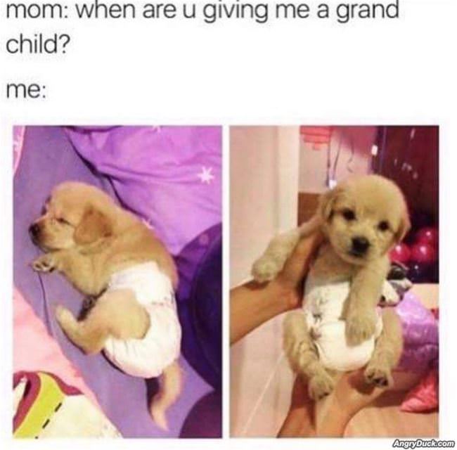 Give Me A Grand Child