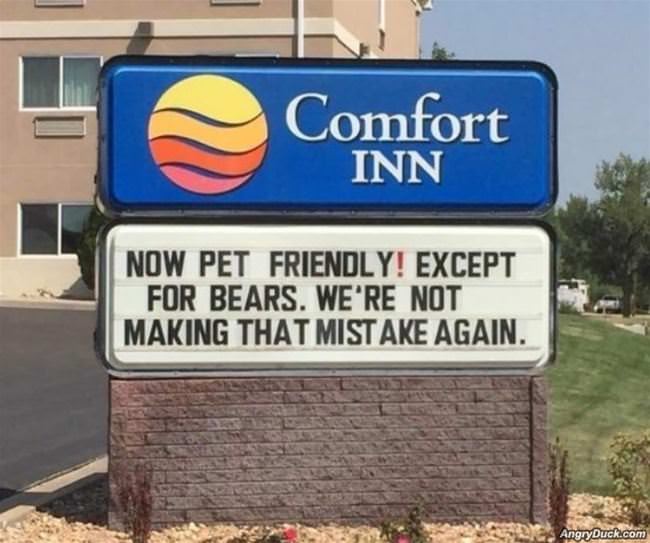 Now Pet Friendly