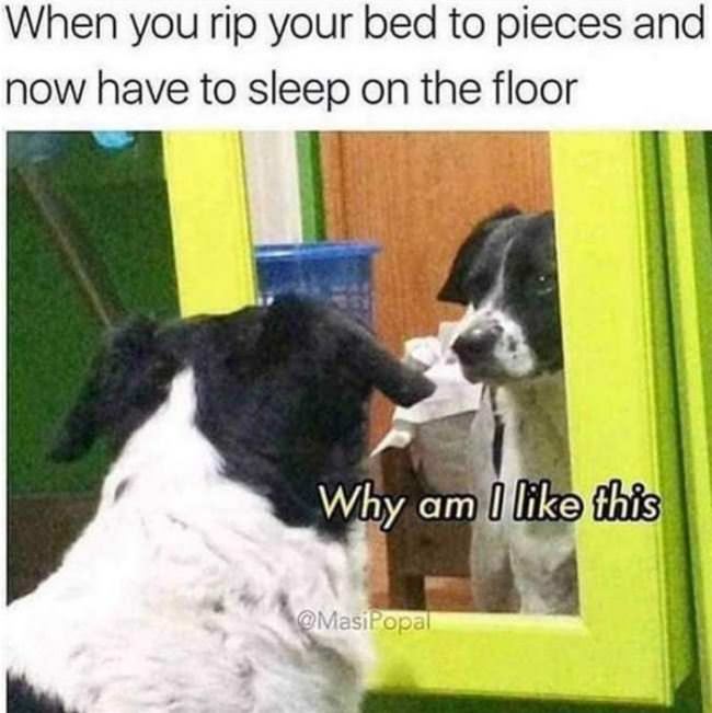 Rip Your Bed Up