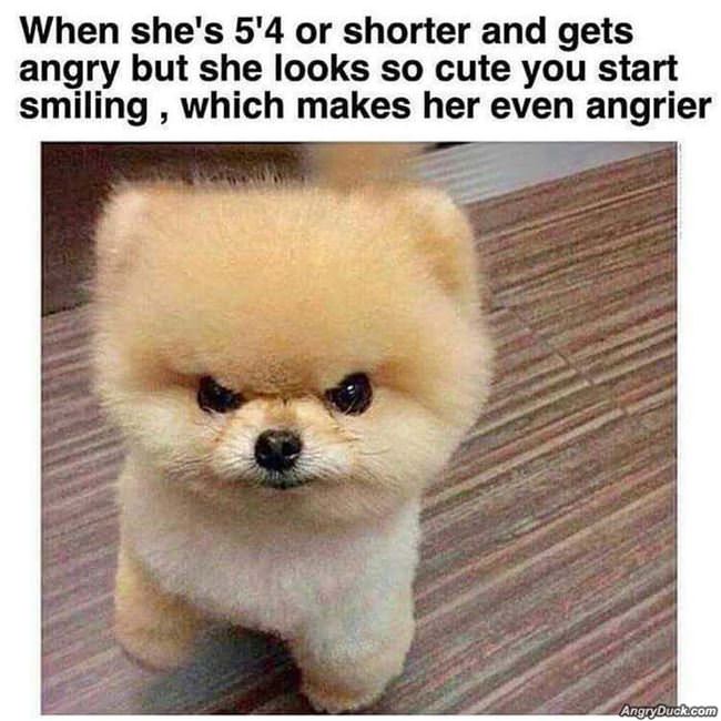 Short Angry Girl