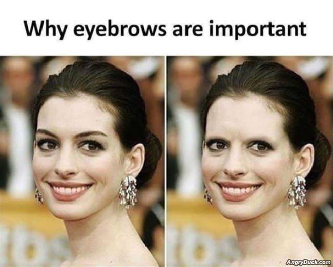 Why Eyebrows Are Important