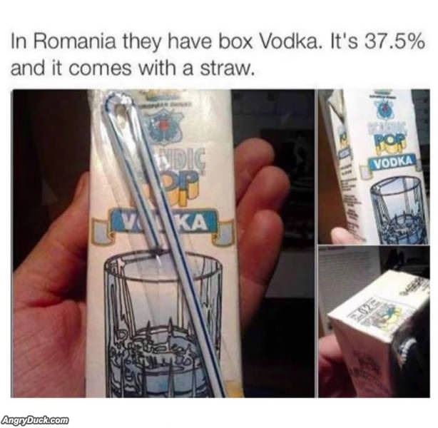 Boxed Vodka