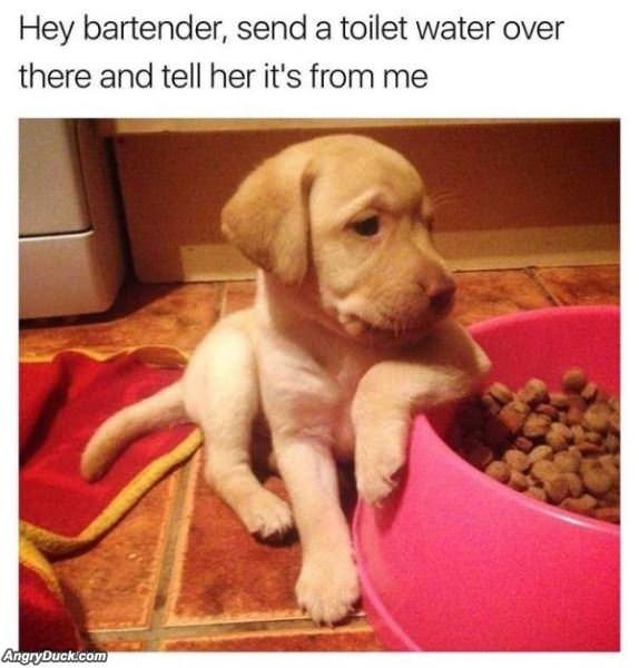 Hey Bartender