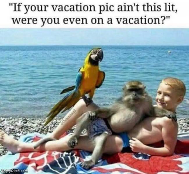 Is Your Vacation Pic This Lit