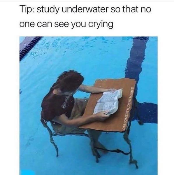 Pro Tip For Studying