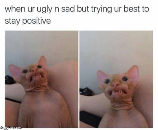 Trying To Stay Positive