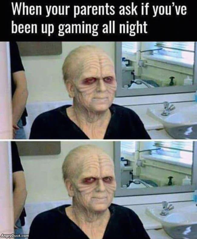 Have You Been Gaming All Night