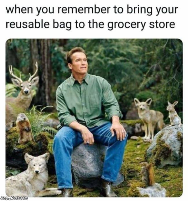 Reusable Bags