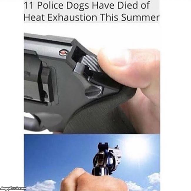 11 Dogs Have Died