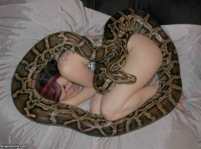 Napping With My Pet Snake