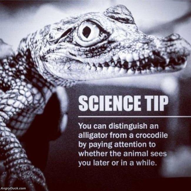 Science Tip