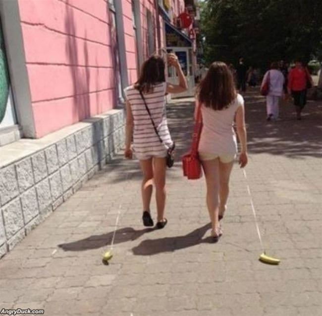 Taking Our Bananas For A Walk