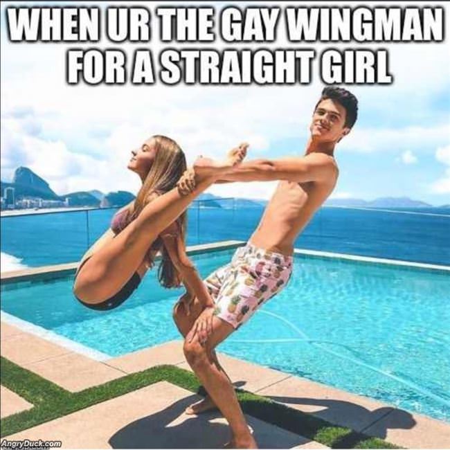 The Gay Wingman