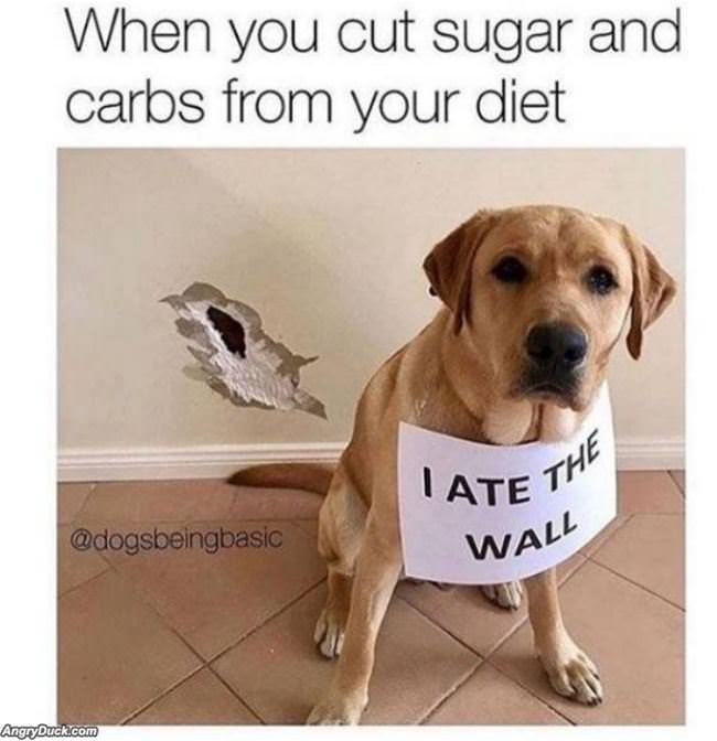 Carbs Diet