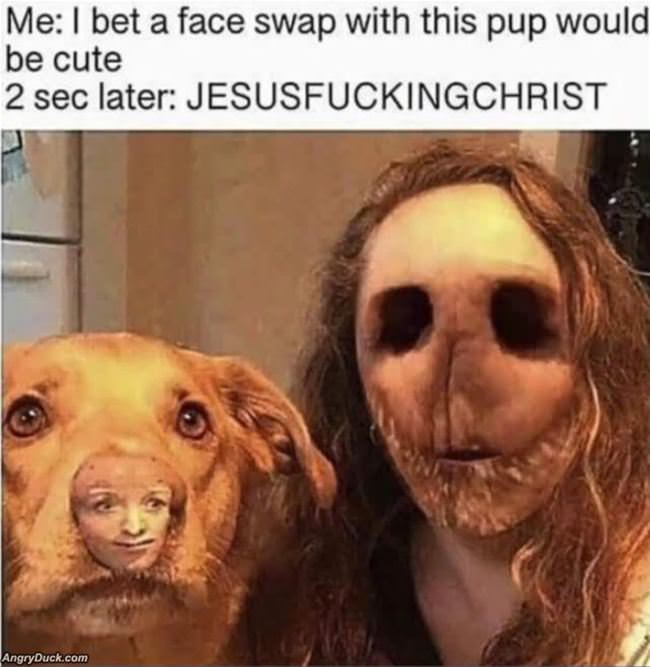 Face Swap The Pup