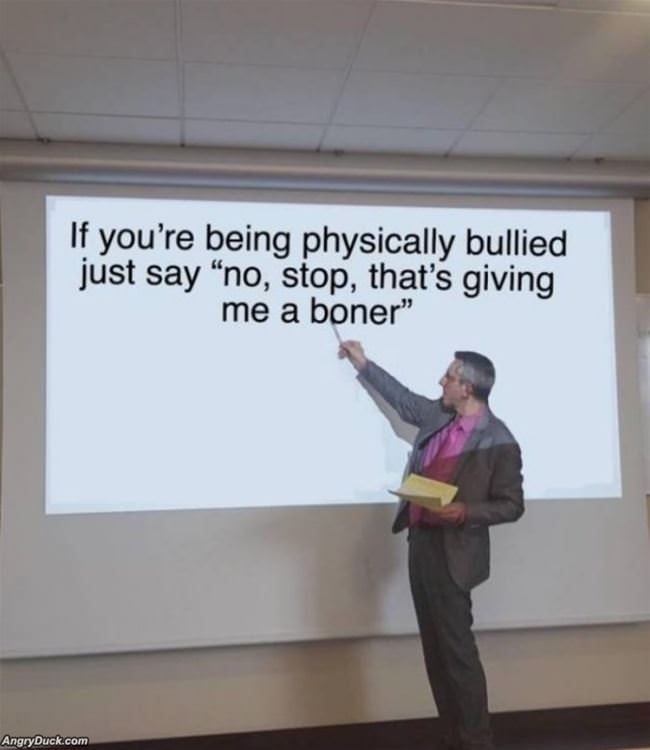 How To Stop A Bully