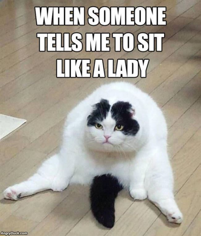 Sit Like A Lady