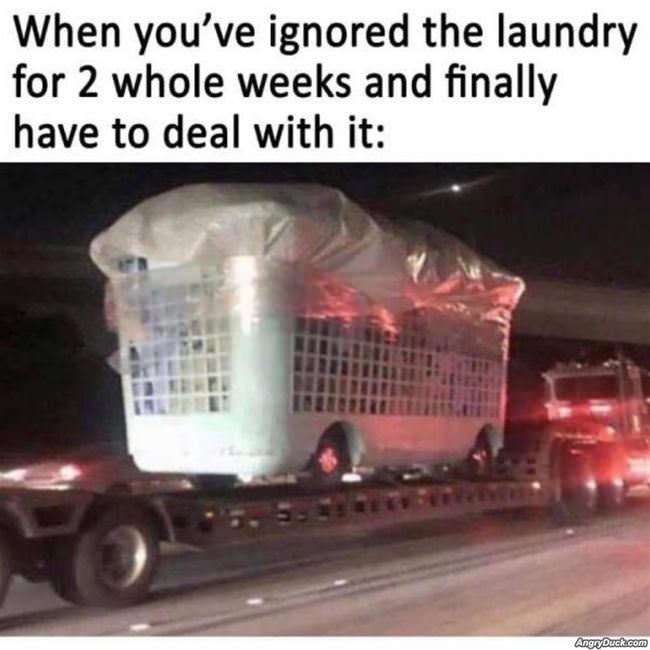 Ignored The Laundry For 2 Weeks