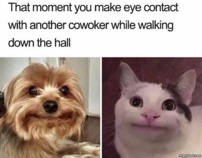 Made Eye Contact