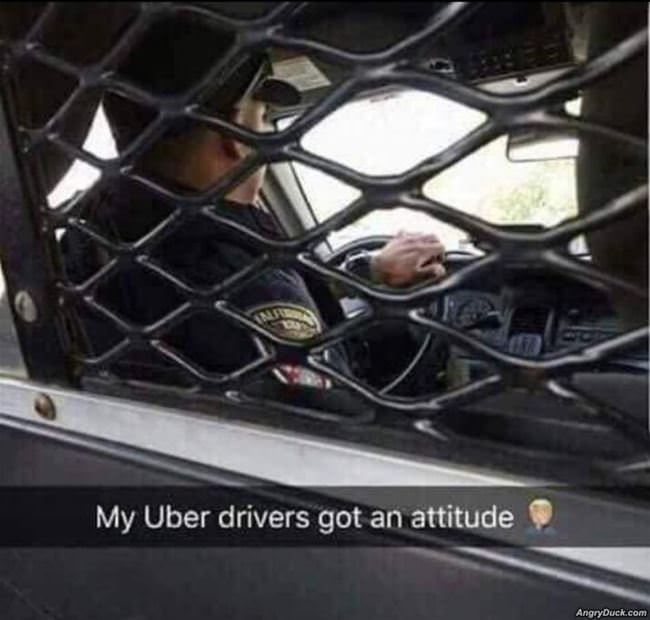 My Uber Driver