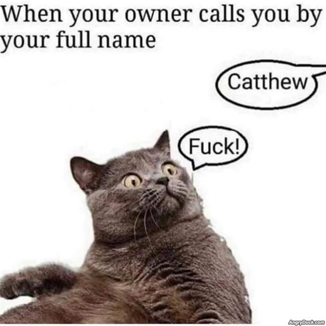 Your Full Name