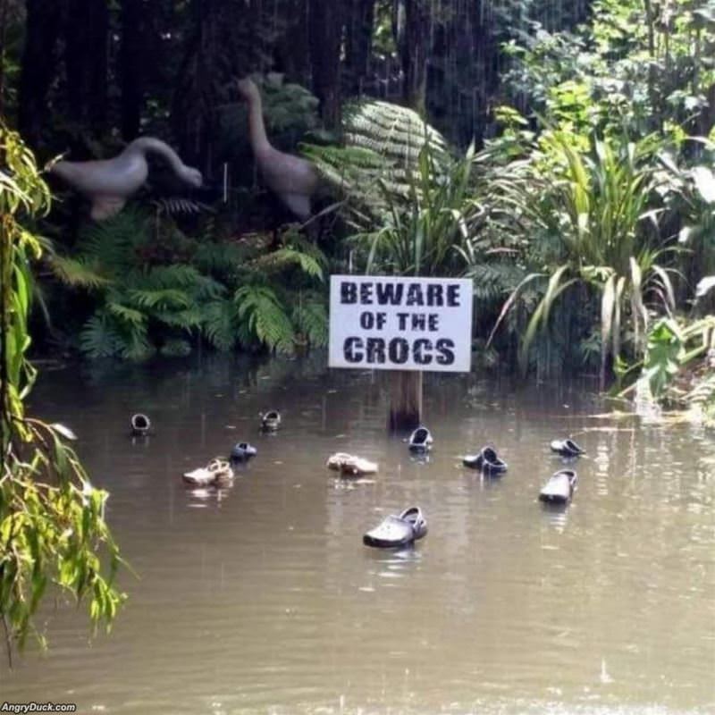 Beware Of The Crocs