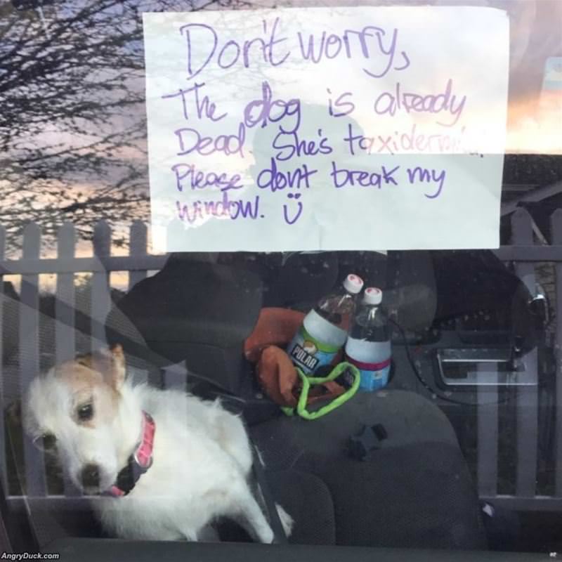 Do Not Break The Window