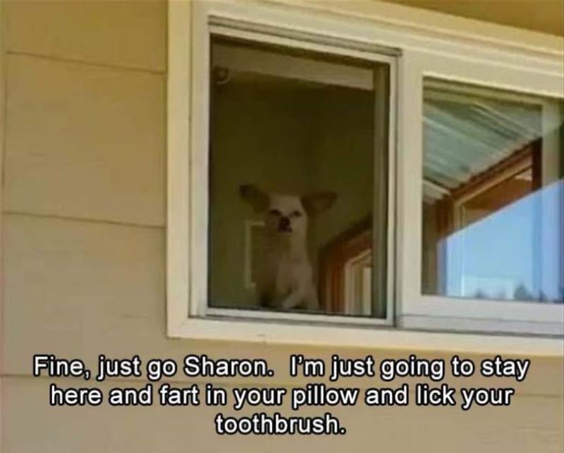 Just Go Sharon