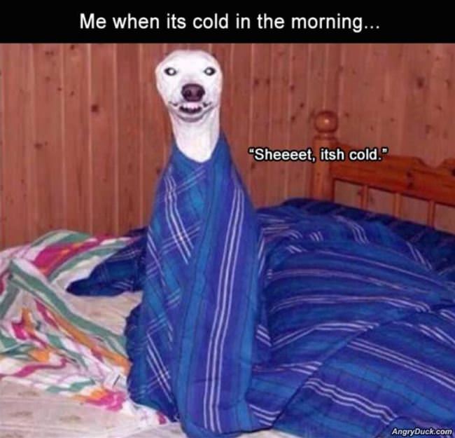 cold-in-the-morning