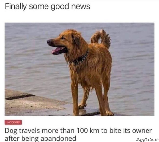 Finally Some Good News