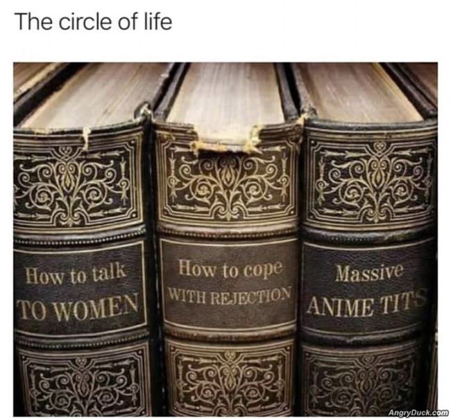 The Circle Of Life