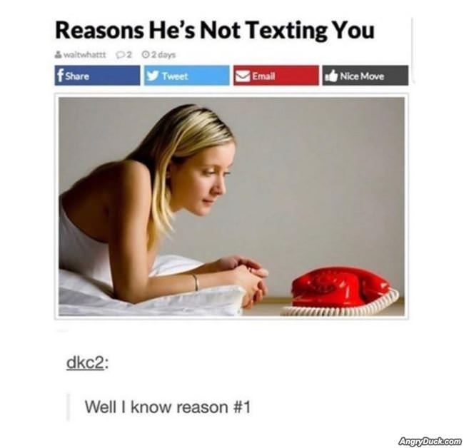 Not Texting You