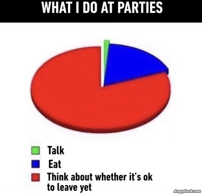 What I Do At Parties