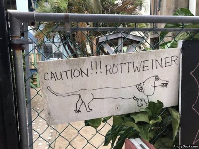 Caution For This Crazy Dog