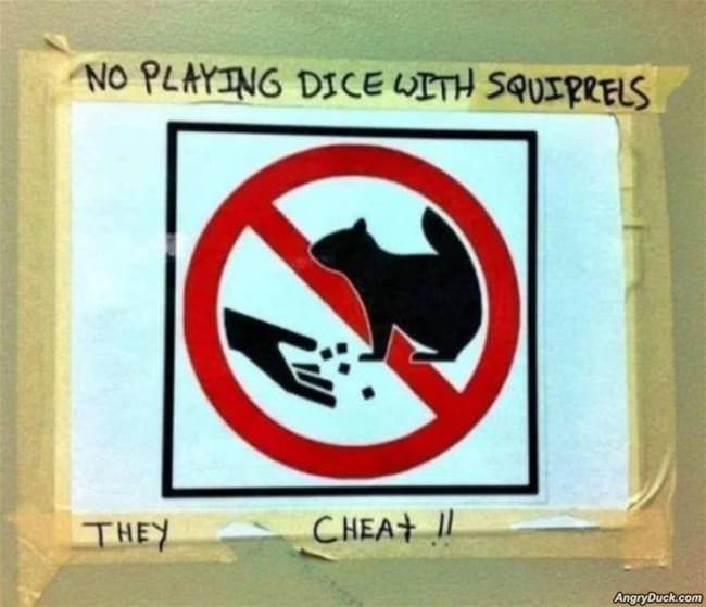 No Dice With The Squirrels