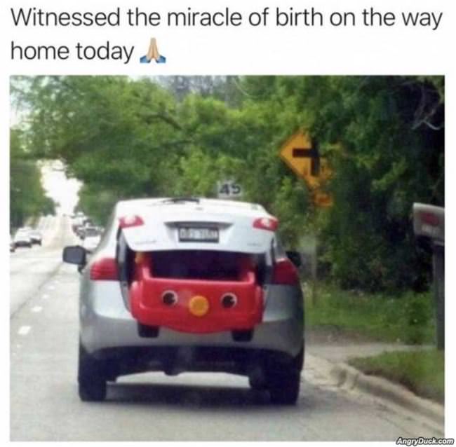 The Miracle Of Birth