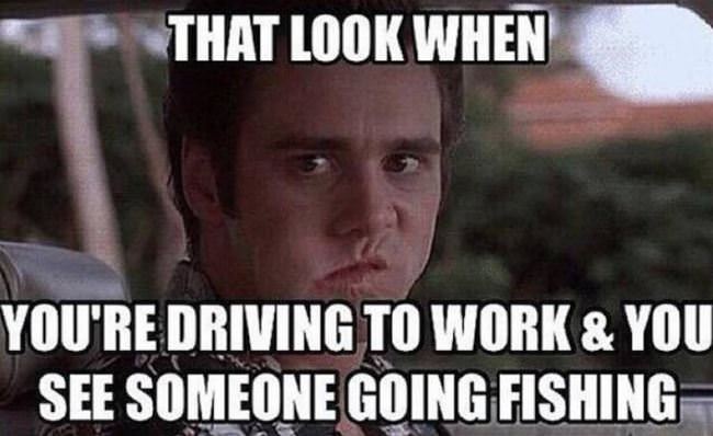 That Look When