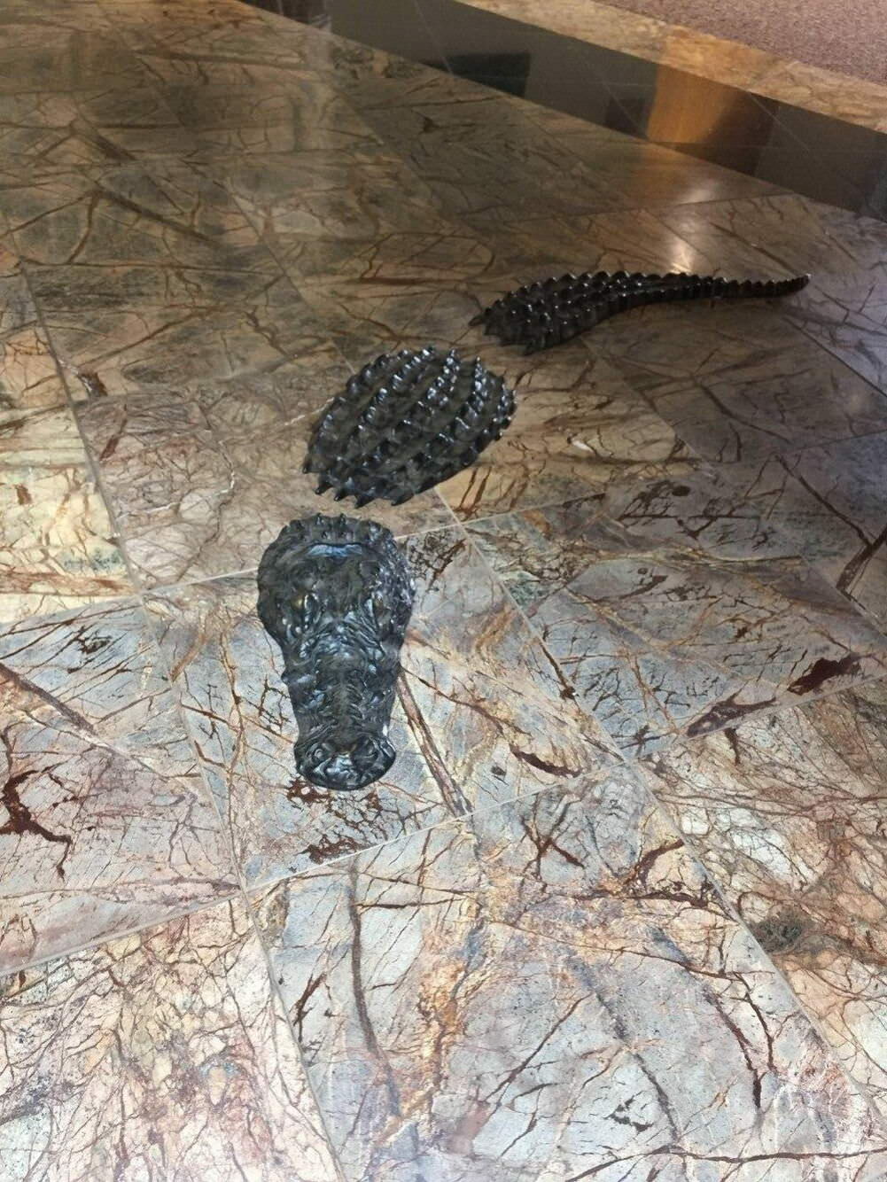 gator floor