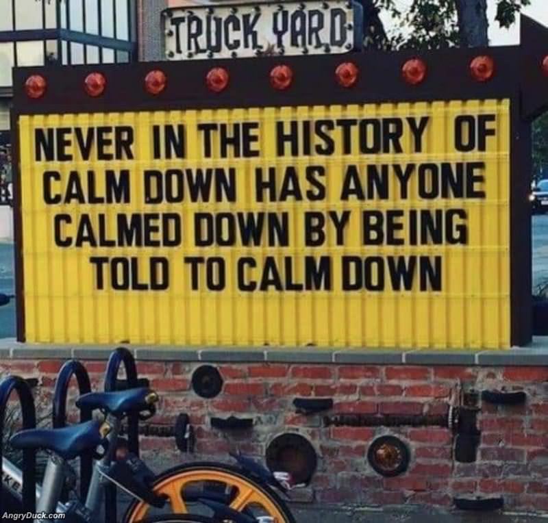 Never In The History Of Calm Down