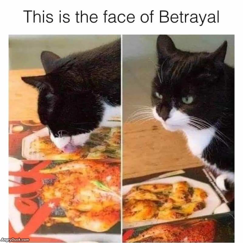 The Face Of Betrayal