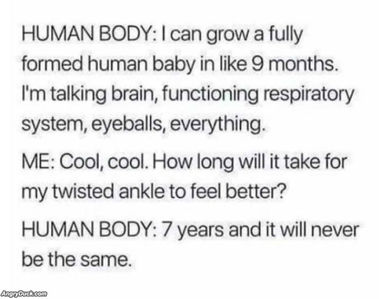 The Human Body